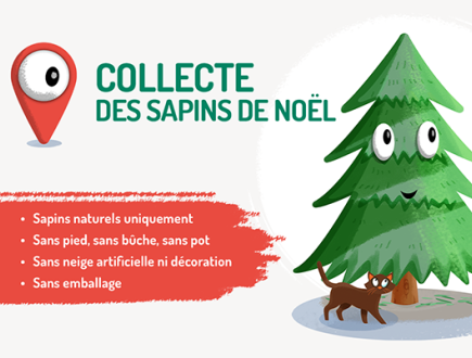 Parcs à sapins
