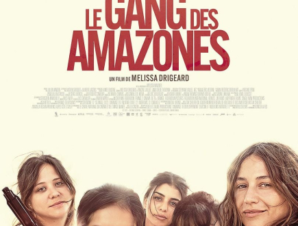 Affiche du film "Le Gang des Amazones"